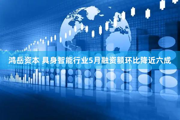 鸿岳资本 具身智能行业5月融资额环比降近六成