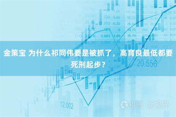 金策宝 为什么祁同伟要是被抓了，高育良最低都要死刑起步？