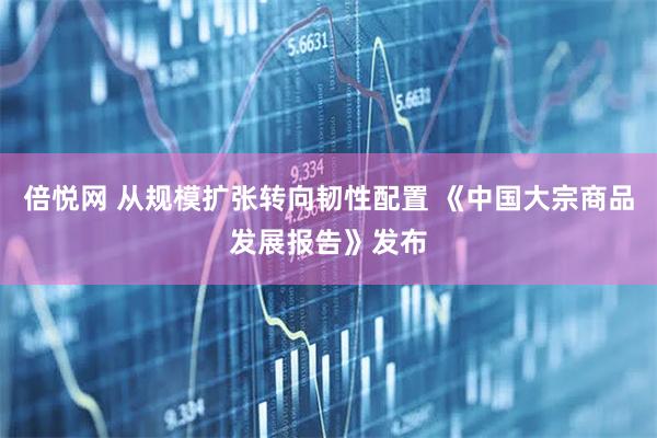 倍悦网 从规模扩张转向韧性配置 《中国大宗商品发展报告》发布